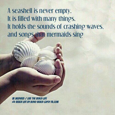 A seashell Seashells Quote, Beachy Quotes, Mermaid Quotes, Ocean Quotes, Self Healing Quotes, Ocean Sounds, I Love The Beach, Mermaid Life, Beach Quotes