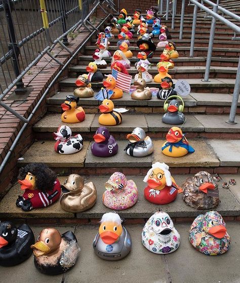 #Repost @new_bailey ・・・ The @manchesterduckrace is back on Good Friday (30th March)! So make sure to pencil the date in...this is a #quacking event you won't want to miss! 🏁 🐥 Hand Painted Rubber Ducks, Painted Rubber Duck Ideas, Rubber Duck Ideas, Duck Items, Duck Race, Sparkle Crafts, Ducky Duck, Duck Crafts, Duck Tattoos