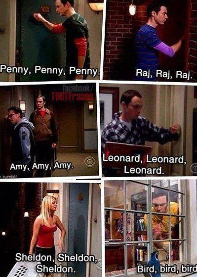 Penny penny penny Big Bang Memes, Big Bang Theory Memes, Big Bang Theory Quotes, Big Bang Theory Funny, The Big Band Theory, The Bigbang Theory, Young Sheldon, Sheldon Cooper, Band Geek