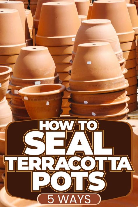 How To Seal Terracotta Pots [5 Ways!] Terra Cotta Pots, Terracotta Flower Pots, Painted Terra Cotta Pots, Terracotta Plant Pots, Painted Flower Pots, Porous Materials, Outdoor Pots, Edible Plants, Decorative Pots