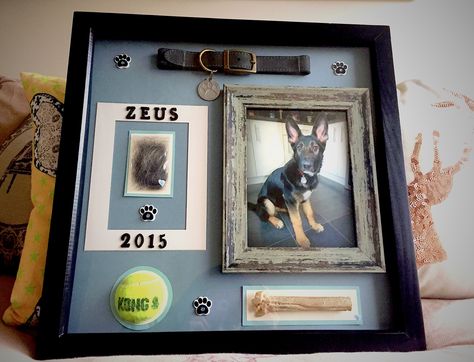 Dog Memorabilia Ideas, Shadow Box For Passed Pet, Dog Shrine Ideas, Dog Shadow Box Ideas, Shadow Box For Dog Pet Memorials, Dog Memory Shadow Box Ideas, Pet Memorial Shadow Box Dogs, Shadow Box For Dog, Dog Shadow Box Pet Memorials