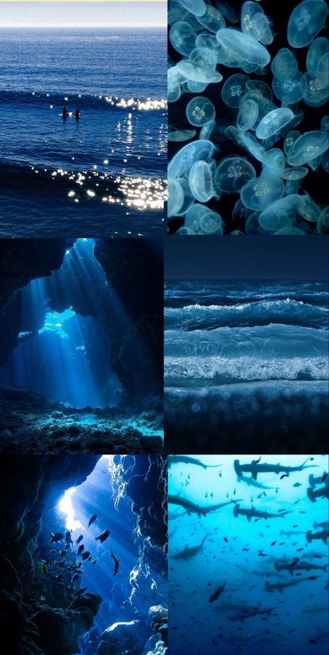 Amphitrite Aesthetic, Homescreen Organization, Black Ocean, Cute Blue Wallpaper, Mermaid Fairy, Beautiful Sea Creatures, Ocean Wallpaper, Sea Theme, Marine Biology