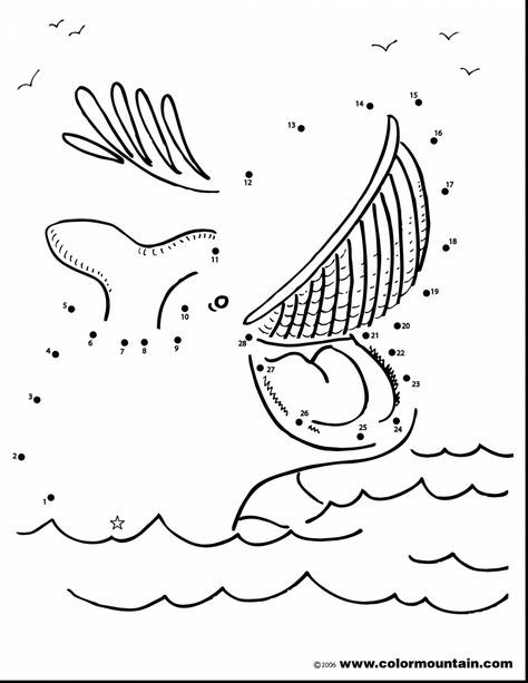 Jonah And The Big Fish, Jonah Bible, Whale Coloring, Whale Coloring Pages, Snake Coloring Pages, Sunday School Coloring Pages, Bible Verse Coloring Page, Jonah And The Whale, Fish Coloring Page