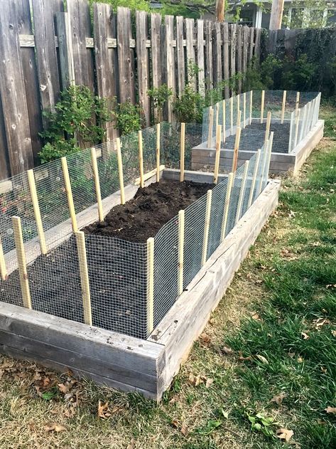 DIY garden fence ideas that include cheap and easy projects with links on how to build them to protect veggies from dogs, deer and rabbits. Fenced Vegetable Garden, Diy Garden Fence, Garden Fence Ideas, Vegetable Garden Raised Beds, Building A Raised Garden, Plants Growing, Diy Fence, Meteor Garden 2018, Home Vegetable Garden