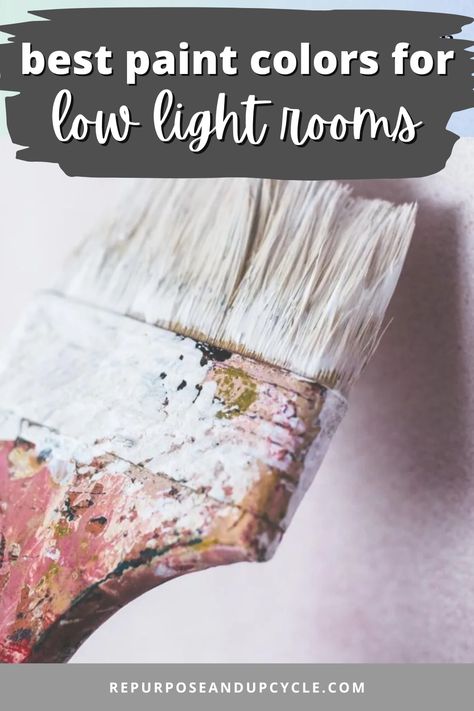 Choosing the right paint color for a low-light room can be a daunting task. The wrong paint color can make the room feel even darker and smaller, while the right color can brighten up the space and make it feel more inviting. I’ll be explore some of the best paint colors and sheens for low-light rooms that can help you transform your space into a cozy and welcoming oasis. Colors For Low Light Rooms, Paint Your Front Door, Most Popular Paint Colors, Paint Guide, Best Farmhouse, Popular Paint Colors, Best Paint, Neuer Job, Old Lamps