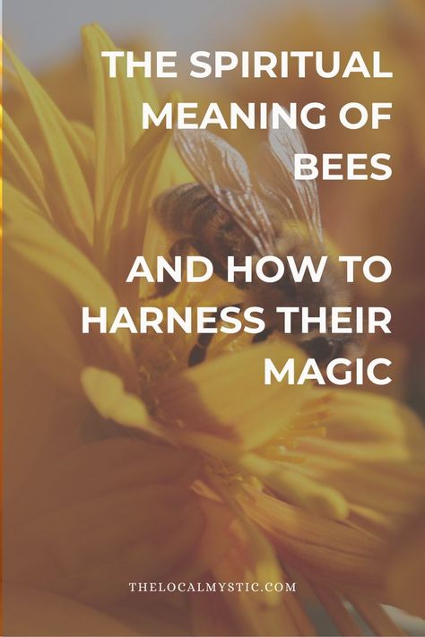 Queen Bee Meaning, What Do Bees Symbolize, Bees In Witchcraft, Bumble Bee Meaning, Bumble Bee Spiritual Meaning, Bee Symbolism Meaning, Bumble Bee Symbolism, Meaning Of Bees, Bee Spiritual Meaning