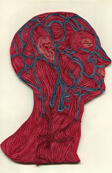 Quilled Paper Anatomy by Sarah Yakawonis Arte Quilling, Art Quilling, Human Head, Quilling Art, Anatomy Art, Science Art, Paper Sculpture, Paper Quilling, Inspiration Art