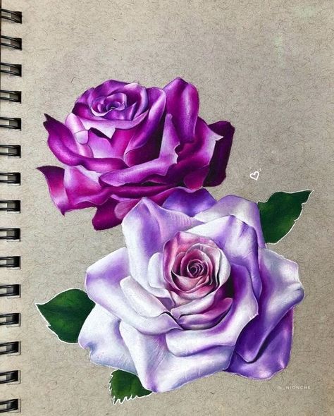 Pencil Colour Drawing Flower, Drawing With Colored Pencil, Realistic Flower Drawing, Colored Pencil Artwork Ideas, Roses Art, Prismacolor Art, Realistic Pencil Drawings, Colored Pencil Artwork, Black And White Art Drawing