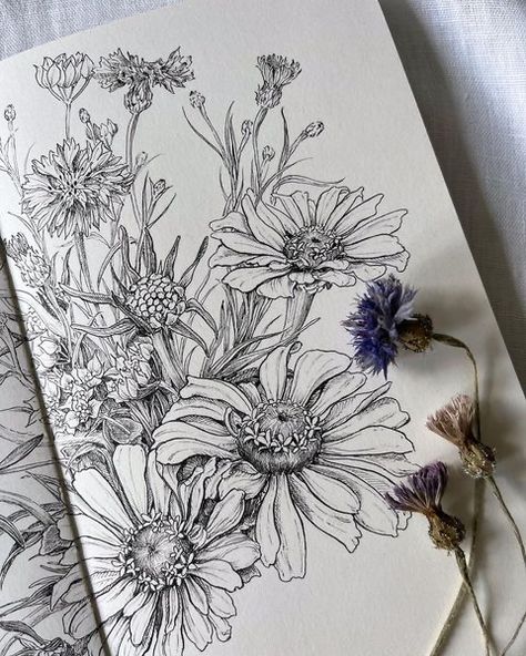 Flowers To Sketch, Fineline Flowers, Sketch Botanical, Botanical Sketchbook, Flower Art Drawing, Flower Sketches, Floral Drawing, Art Diary, Botanical Drawings