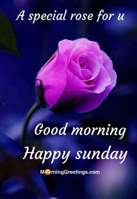 Good Morning Sunday Pictures, Sunday Morning Images, Sunday Morning Wishes, Happy Sunday Images, Good Morning Sunday Images, Happy Sunday Morning, Sunday Morning Quotes, Good Sunday Morning, Sunday Images