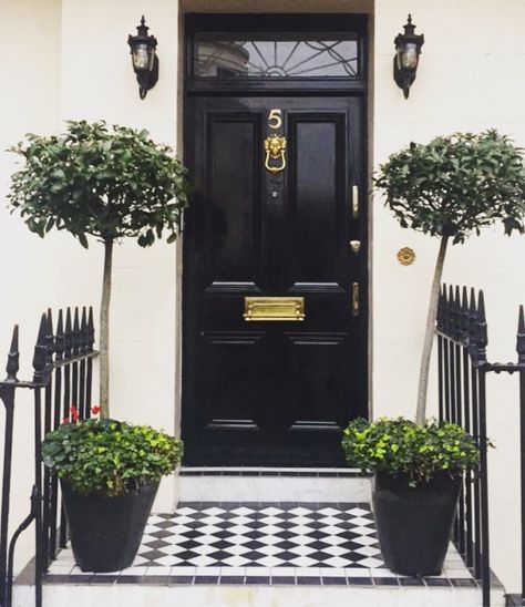 Black front door in London photo by Christina Dandar for The Potted Boxwood Black Front Entry Door, London Front Door, Black Front Door Ideas, Potted Boxwood, Basement Flat, Black Front Door, Entry Porch, Black Front Doors, Door Entrance