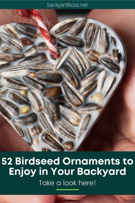 Christmas Tree For The Birds, How To Make Birdseed Ornaments, Bird Friendly Christmas Ornaments, Natural Bird Feeders, Diy Yard Ornaments, Birdseed Pinecones, Diy Bird Food Recipes, Diy Bird Seed Ornaments, Birdseed Ornaments Recipe