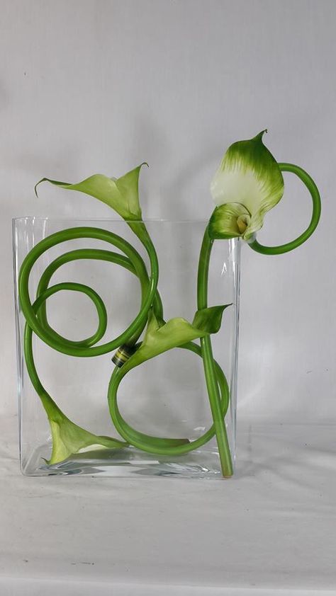 Designed by Rafael Reyes R Underwater Floral Arrangements, Underwater Floral Designs, Underwater Flowers, Arreglos Ikebana, Contemporary Flower Arrangements, Modern Floral Arrangements, Sogetsu Ikebana, Tropical Floral Arrangements, Small Flower Arrangements