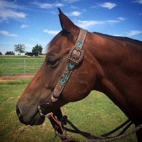 Equestrian Equipment, Barrel Racing Tack, Cowgirl Magazine, Equestrian Helmet, Western Horse Tack, Types Of Horses, Horse Gear, Horse Accessories, Horse Diy