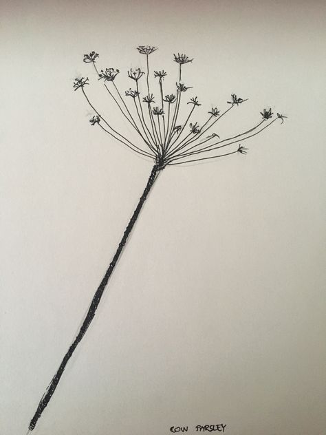 Cow Parsley Drawing, Cow Parsley Tattoo, Mum Tattoo, Wildflower Drawing, Sacred Heart Tattoos, Cow Drawing, Cow Parsley, Free Motion Embroidery, Metal Garden Art