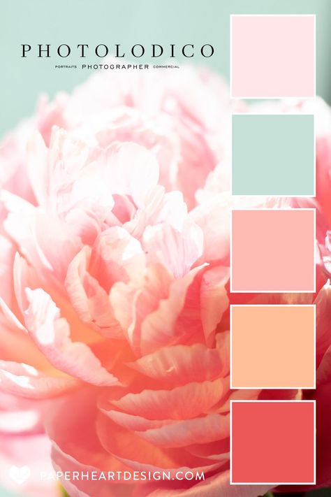 Color Palette: Peach Fuzz Pantone 2024 Color of the Year — Paper Heart Design Mint Peach Color Palette, Colour Of The Year 2024, Peony Color Palette, Peach Pallet, Peach Colour Combinations, Romantic Color Palette, Peach Color Palette, Mint Color Palettes, Peach Color Palettes