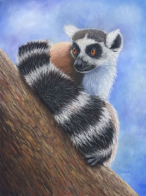 This is my first attempt at pastels. It is for the granddaughter of a co-worker. She loves the lemurs at the zoo Lemur Painting, Pastel Sec, The Zoo, Bright Eyes, Pastel Art, All Eyes, She Loves, Koala Bear, All About Eyes