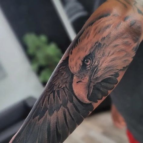 Bald Eagle Half Sleeve Animal Tattoo Idea & Design on Forearm Bald Eagle Half Sleeve Tattoo Done At Sleeve Animal Tattoo, Eagle Half Sleeve Tattoo, Bald Eagle Tattoos, Animal Tattoo Ideas, Eagle Tattoos, Eagle Tattoo, Memorial Tattoo, Memorial Tattoos, Half Sleeve Tattoo