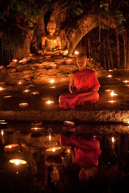 Yoga Studio Design, Buddha Zen, Zen Meditation, Thich Nhat Hanh, A Pond, Meditation Space, Dalai Lama, Spiritual Life, Chiang Mai