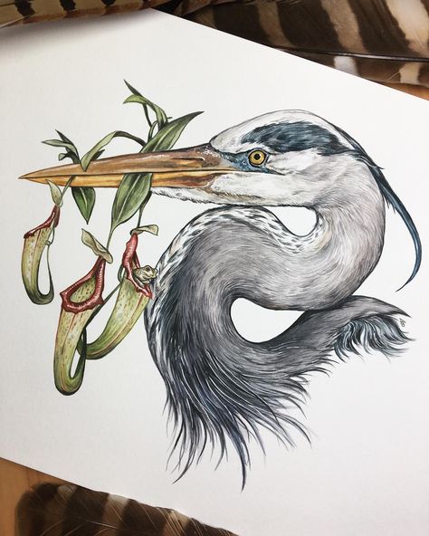 V E R O N I C A S T E I N E R on Instagram: “Heron + the Pitcher Plants - featuring tiny frog. I did use my new white pentel pen on this one a little bit, but other then that it's all…” Pelican Tattoo, Pentel Pen, Heron Tattoo, Pitcher Plants, Heron Art, Flash Tattoo Designs, Pitcher Plant, Herons, 1 Tattoo