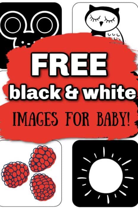 free black and white images for baby Newborn Black White Cards, High Contrast Newborn Printable, Newborn Flashcards Free Printable, Black And White Pictures For Newborns, Black And White Images For Newborns, Free Printable High Contrast Cards For Newborns, High Contrast Baby Images, Newborn Contrast Cards, Black And White Pictures For Babies