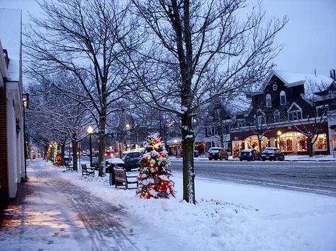 Snowcapped streets of Southampton in the cozy winter months East Hampton Ny, Hamptons Winter, Hamptons Estate, Midwest Christmas, Southampton Ny, Brownstone Homes, Hamptons Ny, Rose House, Hampton Style