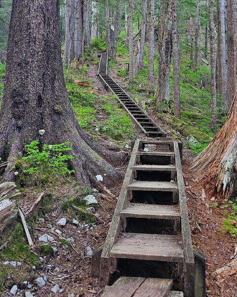 The Gavan Hill Trail in Sitka, Alaska, is a challenging 6.6-mile round-trip hike with an elevation gain of 2,500 feet. Starting from Sitka National Historical Park, it ascends steeply through lush rainforest, offering switchbacks and wooden steps. Hikers are rewarded with panoramic views of Sitka Sound, Mount Edgecumbe, and the surrounding wilderness.  #hikealaska #hiking #travelsitka #sitkathrough4seasons #wildbynature #summerinsitka #summer #sunshine Lush Rainforest, Alaska Wilderness, Sitka Alaska, Wooden Steps, Alaskan Cruise, Summer Sunshine, Round Trip, Alaska, Boats