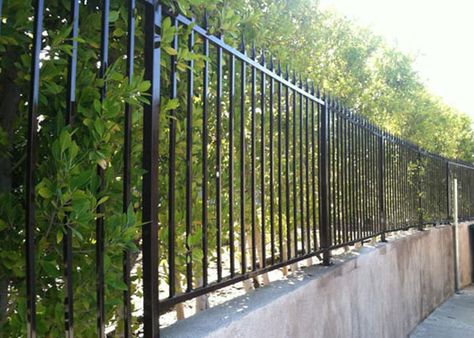 Iron Security Fences & Gates Gallery | Los Angeles County, CA Fencing Contractor Retaining Wall Fence, Yard Fencing, Entrance Gates Driveway, Gate Entrance, Home Security Tips, Security Fence, Front Porch Design, Cement Wall, Wrought Iron Fences