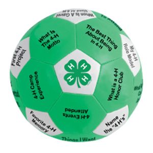 In need of an ice breaker for camp? 4 H Meeting Activities, 4h Meeting Activities, 4h Games, 4 H Clover, 4h Projects, 4h Ideas, 4 H Club, Meeting Activities, Leadership Activities