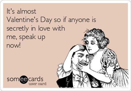 It's almost Valentine's Day so if anyone is secretly in love with me, speak up now! No Valentine Quotes, No Valentine Quotes Funny, Valentine Ecards Funny, Valentine Quotes Funny, Valentine Ecards, Happy Valentines Day Funny, Secretly In Love, Valentines Quotes Funny, No Valentine