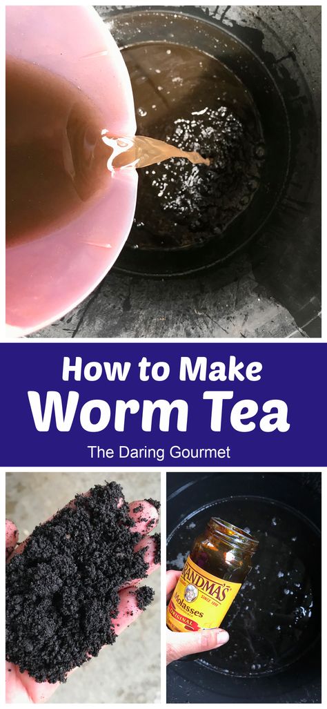 Super easy to make, Worm Tea is the miracle elixir that will infuse your soil with beneficial microbes, prevent and treat plant diseases, ward off pests, improve soil structure, increase your soil's water-holding capacity, and promote the health, strength and yields of your plants! Vermiculture Worm Farm, Worm Tea, Worm Castings Tea, Worm Beds, Worm Farming, Sustainable Homestead, Worm Castings, Homestead Ideas, Compost Tea