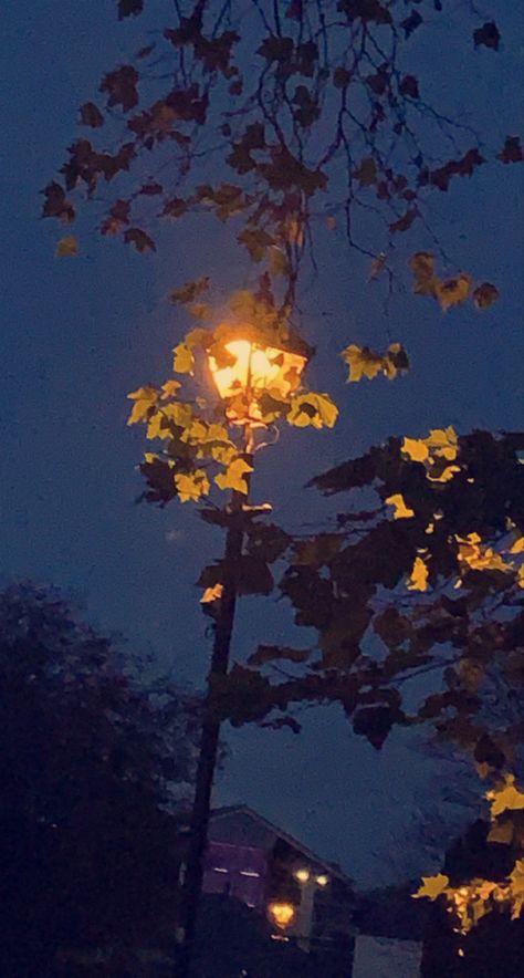 Lamppost At Night, Dark Blue Fall Aesthetic, Rainy Halloween Aesthetic, Lampost Aesthetic, Lamppost Aesthetic, Lamp Post Aesthetic, Spring Night Aesthetic, Autumn Night Aesthetic, Halloween Night Aesthetic