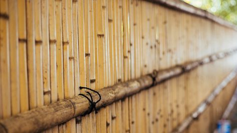 Tips For Protecting Patio Bamboo Screens So They Last For Years And Years Patio Bamboo, Bamboo Privacy Fence, Bamboo Screen, Semi Transparent Stain, Bamboo Privacy, Bamboo Screening, Privacy Fences, Bamboo Garden, Water Mixes