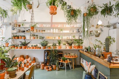 50 Coolest clothing stores and boutiques in The Hague Garden Center Displays, Flower Shop Interiors, Home Flower Arrangements, Flower Shop Design, Retail Inspiration, Plant Shop, Florist Shop, Boho Interiors, Plant Decor Indoor