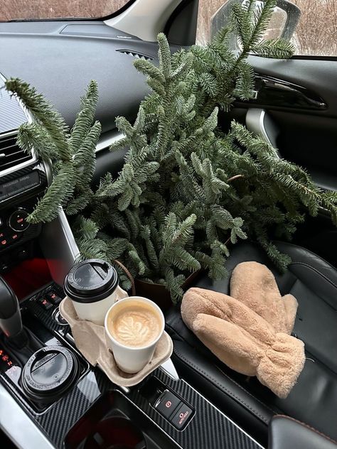 Christmas Aesthetic, A Car, Christmas Tree, Coffee, Christmas