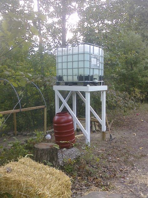 Rain Barrel System, Water Collection System, House Florida, Water Barrel, Tank Stand, Water Storage Tanks, Rainwater Harvesting, Water Collection, Rain Barrel