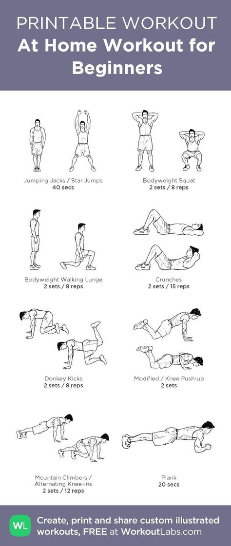 Workout Morning, Workout Fat Burning, Workout Labs, Printable Workout, Beginner Workout At Home, Beginner Workouts, Full Body Workouts, Muscle Abdominal, At Home Workout