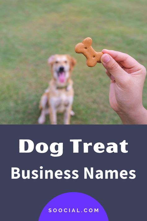 Dog Treat Business Name Ideas, Dog Treat Business Names, Treat Business Names, Dog Treat Business, New Business Names, Treat Business, Business Name Ideas, Dog Bakery, Creative Names