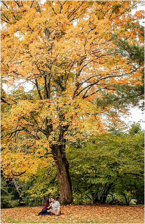 The Castle at Skylands Manor Engagement, New Jersey Fall Inspired Engagement… New Jersey Fall, Skylands Manor, Perfect Fall Day, Engagement Photos Fall, Fall Day, Fall Engagement, The Castle, Botanical Garden, Autumn Inspiration