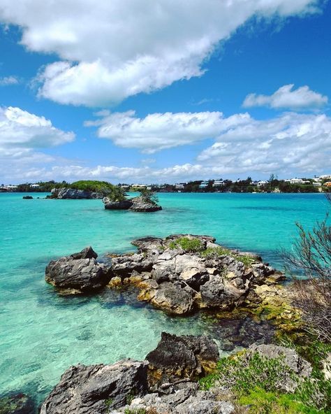 Trunk Island, Bermuda. Photo by @annettetheexplorer. @bermuda (Instagram) Bermuda Island, Ocean Landscape, Summer Painting, Inspiration Art, Trunk, Beautiful Colors, Beautiful Places, Vision Board, The Beach