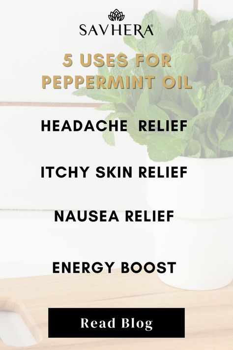 Uses for peppermint essential oil including headache, itchy skin, nausea, and fatigue releif Oils For Nausea, Peppermint Oil Uses, Peppermint Oil Benefits, Essential Oils For Nausea, Itchy Skin Relief, Oils For Energy, Oil For Headache, Nausea Relief, For Headaches