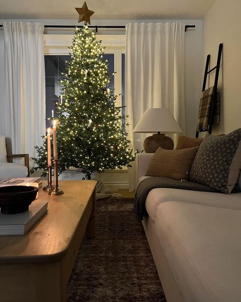 Modern Cozy Christmas, Christmas Decor Apartment, Megan Hart, Lights For Christmas, Silver Christmas Decorations, I Like Her, Simple Tree, Christmas Apartment, Neutral Christmas Decor