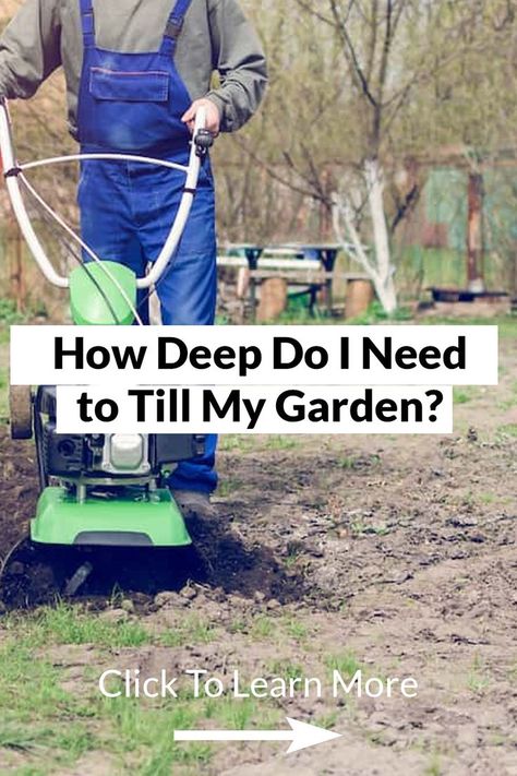 One of the common questions that gardeners ask is, “How deep do I need to till my garden?” Tilling is technically a matter of choice, but many believe it is necessary. This is true whether you're starting a new garden or developing an existing plot. Tilling A New Garden, Garden Tilling, New Garden, Starting A Garden, Common Questions, The Common, My Garden, A Garden, Garden Ideas