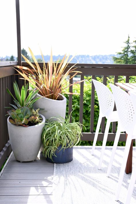 Plants For Decking Area, Plants On Deck Ideas, Plants On Deck, Deck Refresh, Deck Plants, Lake House Deck, Deck Landscaping, Second Story Deck, Decking Area