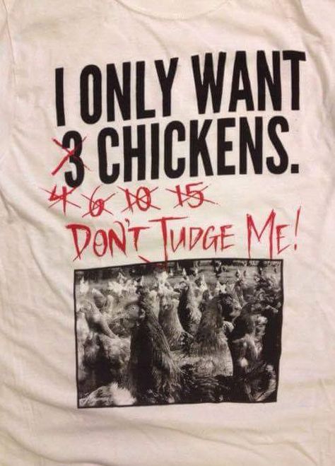 Math Tshirt, Chicken Math, Best Laying Chickens, Laying Chickens Breeds, Best Egg Laying Chickens, Laying Chickens, Egg Laying Chickens, Chicken Pictures, Chicken Bird