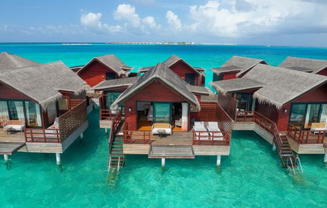 Private Overwater Villa with Access to Crystal Clear Lagoon Maldives Water Villa, Water Resort, Overwater Villa, Romantic Couple Getaways, Outdoor Baths, Water Villa, Overwater Bungalows, Spa Offers, Plunge Pool