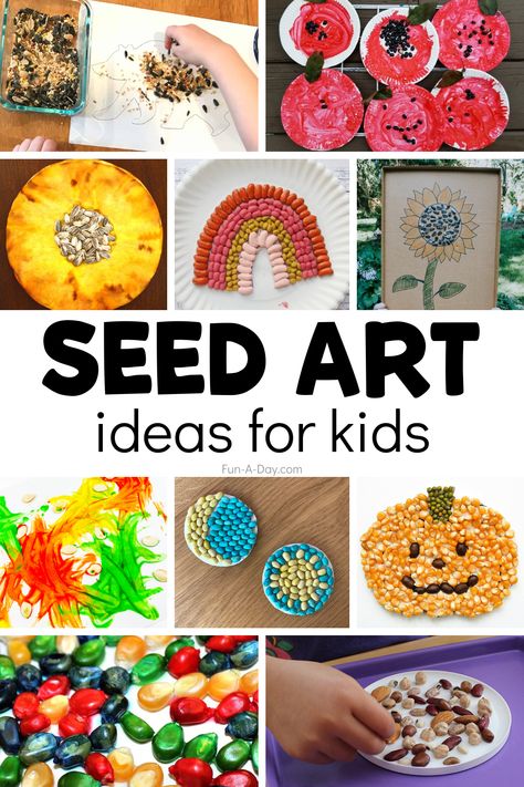 Plants And Seeds Crafts For Toddlers, Seed Art Preschool, Seed Art For Kids, Seed Activities For Kids, Seed Crafts For Kids, Seeds Preschool, Fall Pumpkin Activities, Flower Wall Hanging Diy, Seed Craft