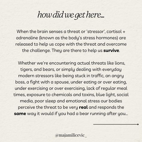 6 Signs Your Burnout Out AF ... 🆘 ⠀⠀⠀⠀⠀⠀⠀⠀⠀ So, how did we get here heyy? 👀 ⠀⠀⠀⠀⠀⠀⠀⠀⠀ SWIPE to read a short story of how modern society leaves us running on stress hormones, depletes our nutrients and eventually leaves us burnt out. ⠀⠀⠀⠀⠀⠀⠀⠀⠀ If you get to the end of this post I have posted some of my top tips to help you get out of burnout and back to safety! For 1-1 Coaching DM me ‘THRIVE’ #burnout #burnoutrecovery #burnoutprevention #stress #stressmanagement #stressreduction #relievin... Scientific Facts, Burnout Recovery, Modern Society, A Short Story, Burn Out, Short Story, To The End, Top Tips, Facts About