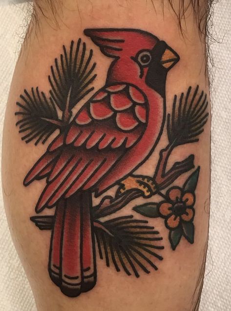 Sailor Jerry Cardinal Tattoo, American Traditional Robin Tattoo, Traditional Cardinal Tattoo Black, Traditional Tattoos Cardinal, American Traditional Tattoos Cardinal, Where The Red Fern Grows Tattoo, Traditional Style Bird Tattoo, Black And Grey Cardinal Tattoo, American Traditional Tattoos Bird