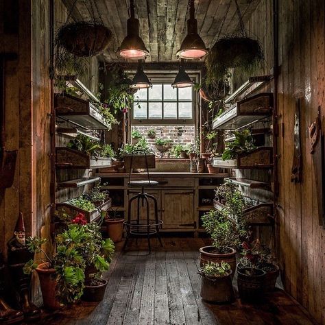 Woods Cottage, House Cottagecore, Witchy Cottage, Witches Cottage, The Grounds Of Alexandria, Elsie De Wolfe, Cottage Witch, Witch Cottage, Cottage Aesthetic